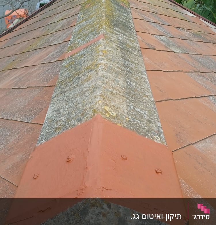 גג רעפים עם פס מתכת במרכז